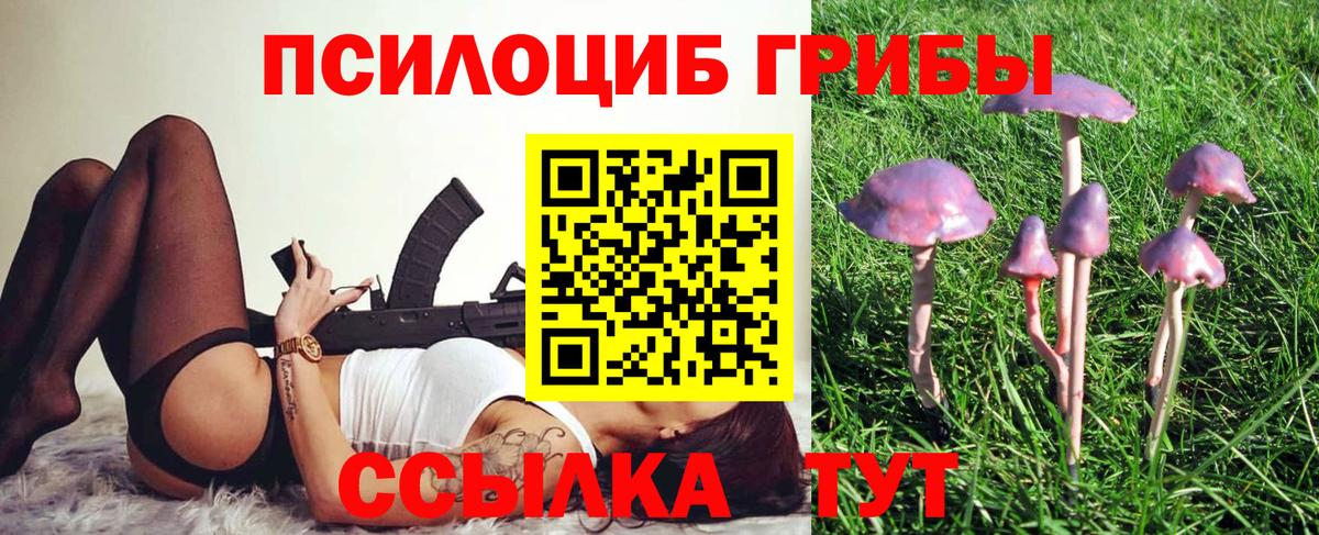 Галлюциногенные грибы прущие грибы  Вход с VPN  Ступино 